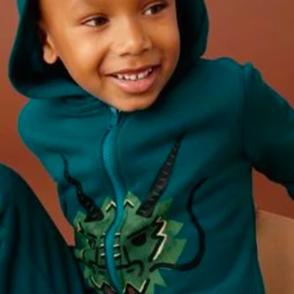 NWT Tea Collection- Teal Dragon Hoodie for Kids